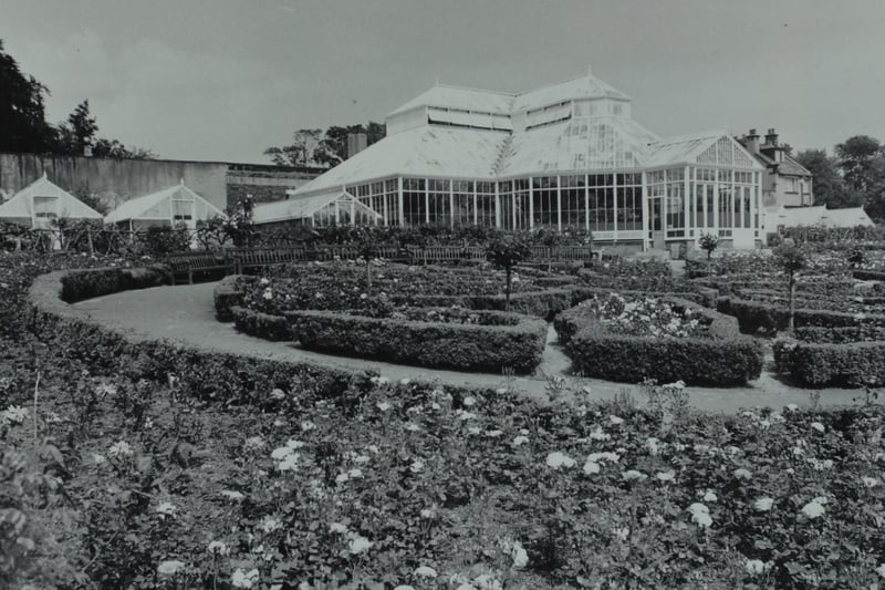 The Rose gardens at Roundhay Park in August 1966.