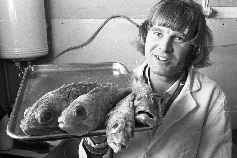 A campaign to promote  deep sea fish  in Wigan's fishmongers in the year of 1974