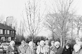 Wakefield Hospice tree planting in  December 1991