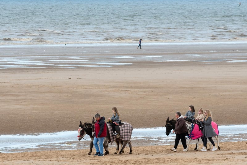 Donkey rides on the beach have returned following the easing of restrictions.