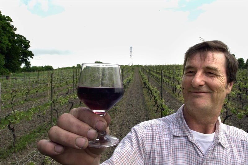 George Bowden pictured at Leventhorpe Vineyard near Swillington.
