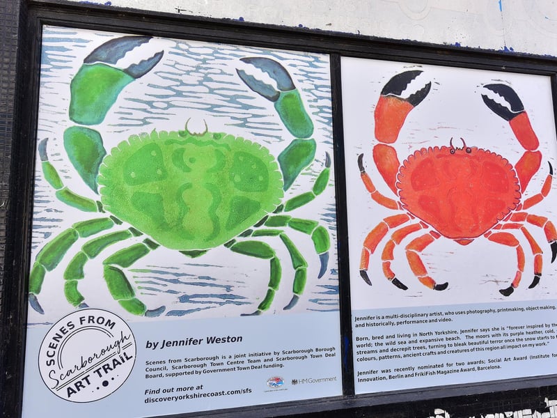 Art Trail installation by Jennifer Weston on Queen street.