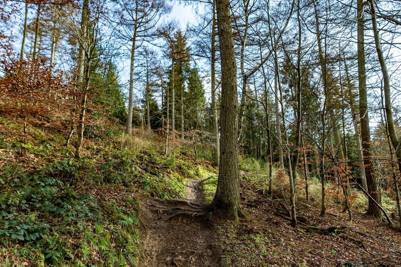 If you fancy going further afield, Dalby Forest is the perfect spot to set up camp for the day, take a picnic and anything else you need and while away the weekend in the woodland.