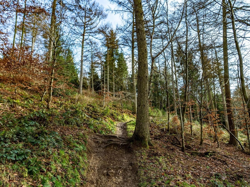 If you fancy going further afield, Dalby Forest is the perfect spot to set up camp for the day, take a picnic and anything else you need and while away the weekend in the woodland.