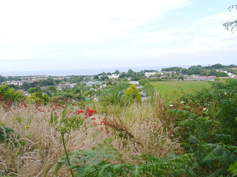 One of the lesser known nature spots in town set on a steep hill ascending out of Scarborough, this rough acid pasture and scrub woodland nature reserve offers beautiful views across the town and over the sea.