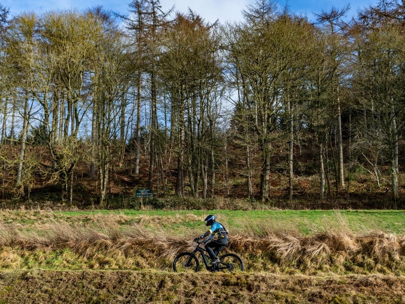 The North York Moors has epic landscapes and monumental landmarks to explore, and the Dalby Forest Loop is a classic example.
