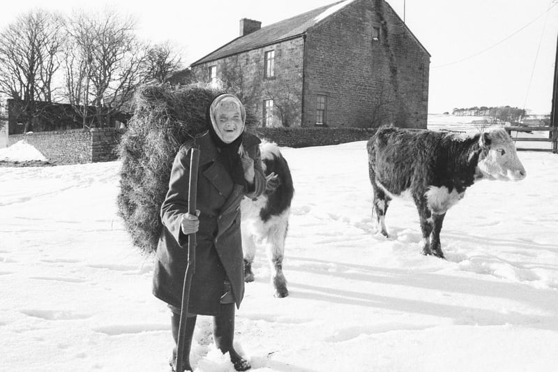 Hannah Hauxwell at her family farm, Low Birk Hatt, before she moved to her cottage in Cotherstone