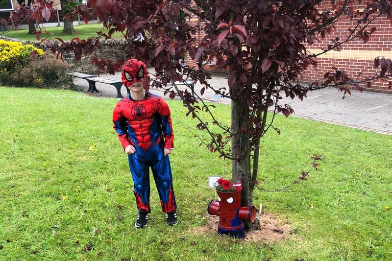 Spiderman makes sure we all notice this particular pot in the  fund-raising  Brindle Gregson Lane in Bloom Trail