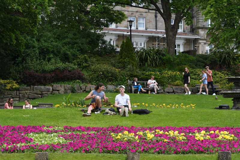 People relax in front of the flowers on the Stray.