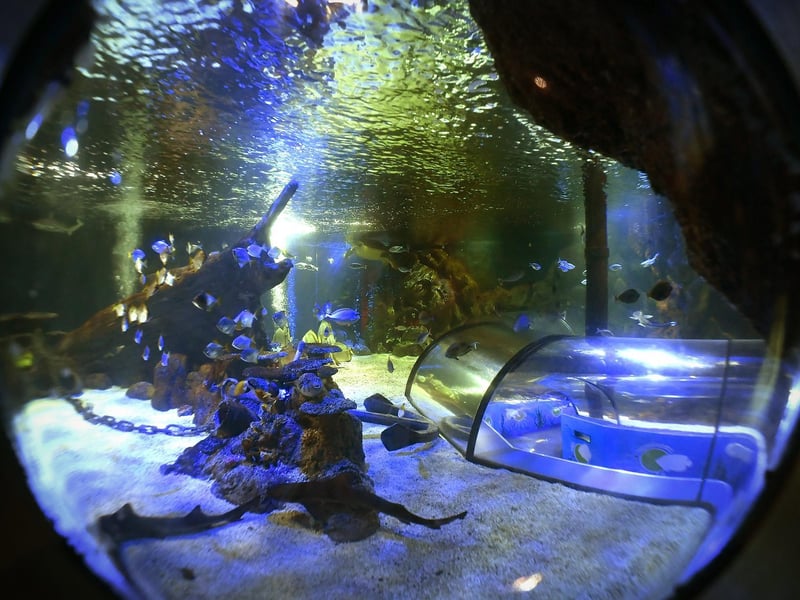 A view into the shipwreck in the ocean tunnel.