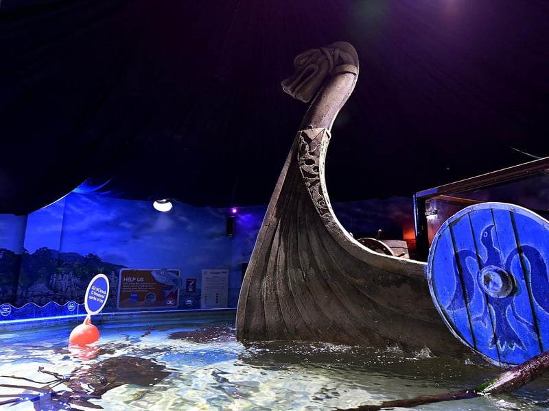 The opening exhibition displays species native to our British waters.