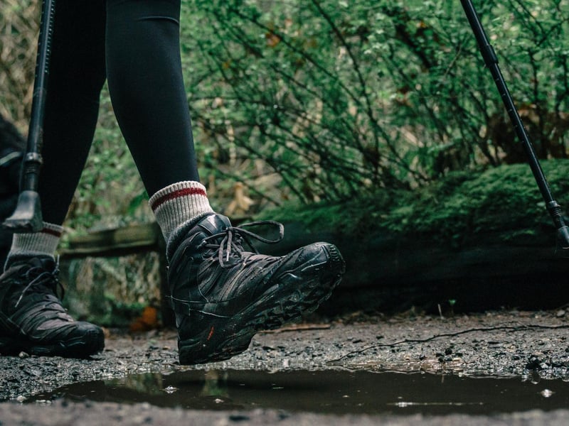 Run by the University of Leeds but open to the public, these social walks stay close to the city campus and Woodhouse Moor. It’s a high-energy way to meet a diverse group of people while getting those endorphins flowing in a supportive group. 😊 Cromer Terrace Studio, University of Leeds, Leeds LS2 9JT
