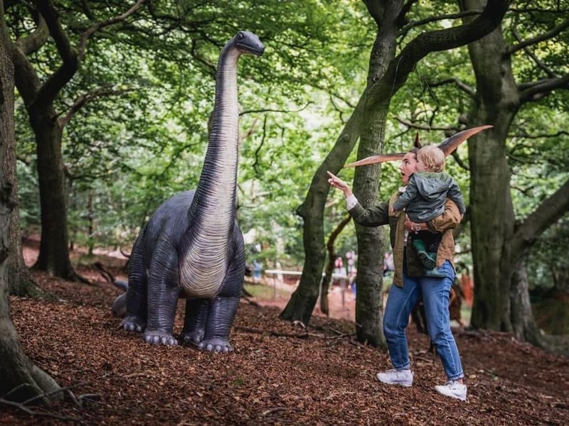 Tickets are selling fast for the outdoor family adventure trail open this weekend at Hazlewood Castle in Leeds. The adventure boasts seven themed zones - including Jurassic Land, Jungle, Arctic, Candy Land, Neverland, Superheroes and Fantasy Land.These areas feature anything and everything from dinosaurs and polar bears to giant lollipops and unicorns.