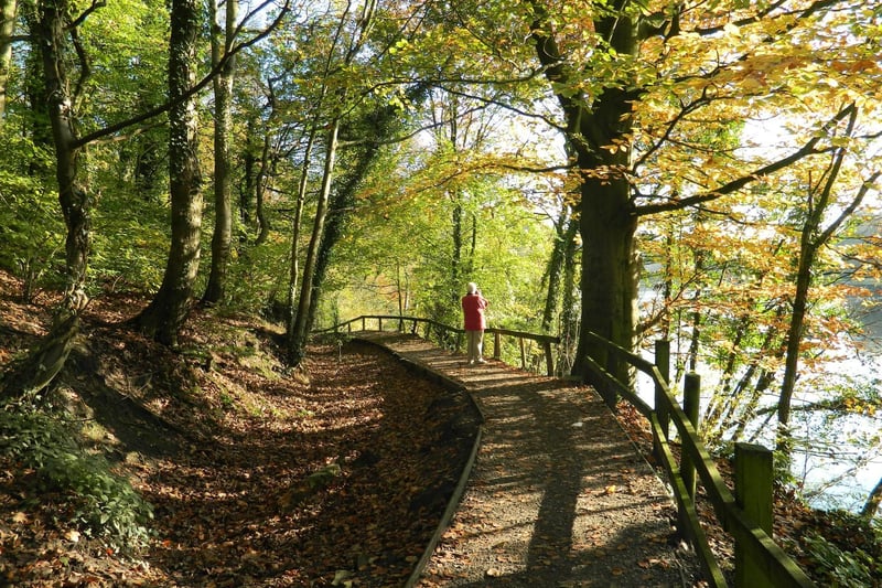 Yarrow Valley Country Park, Chorley
700-acre parkland with a lake, waterfall, adventure playground, cafe & visitor center.