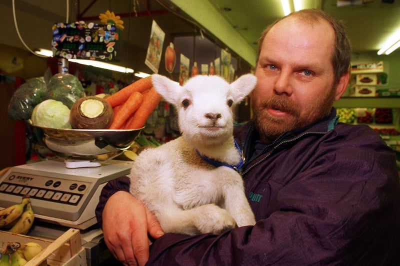 This is Zak the lamb pictured safe in the arms of Morley Markets greengrocer Geoff Berry in February 1996.