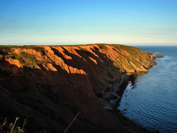 Filey Brigg, as seen from the country park, is a favourite for dog walking and bird watching with a cafe, play area, and ample parking.