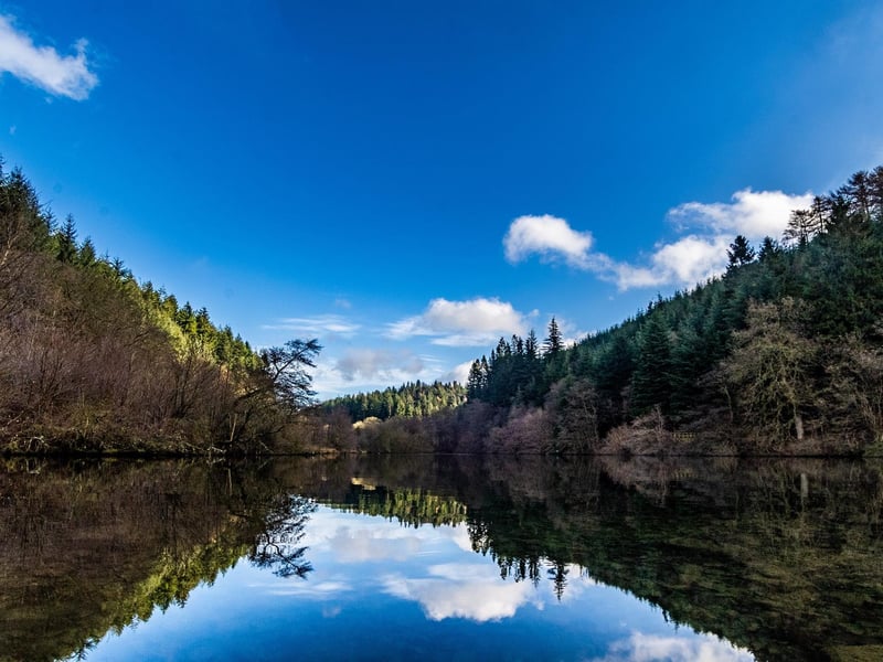 Dalby Forest, near Pickering, is a favourite with walkers and cyclists for its spectacular moorland views and is operated by Forestry England. Charges apply.