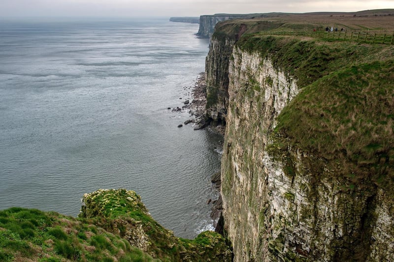 Around half a million seabirds gather at Bempton Cliffs between March and October where its towering chalk cliffs overlook the North Sea - it has a visitor centre, cafe, and parking. Admissions charges apply.