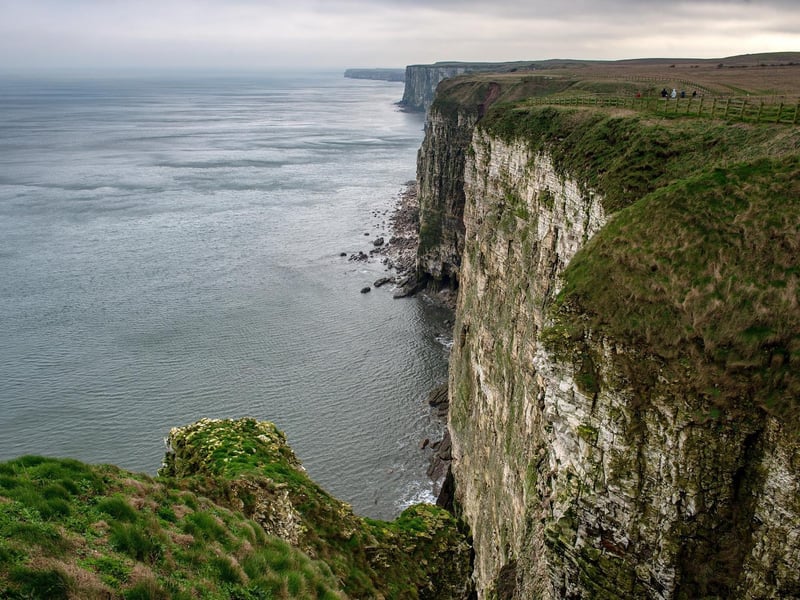 Around half a million seabirds gather at Bempton Cliffs between March and October where its towering chalk cliffs overlook the North Sea - it has a visitor centre, cafe, and parking. Admissions charges apply.