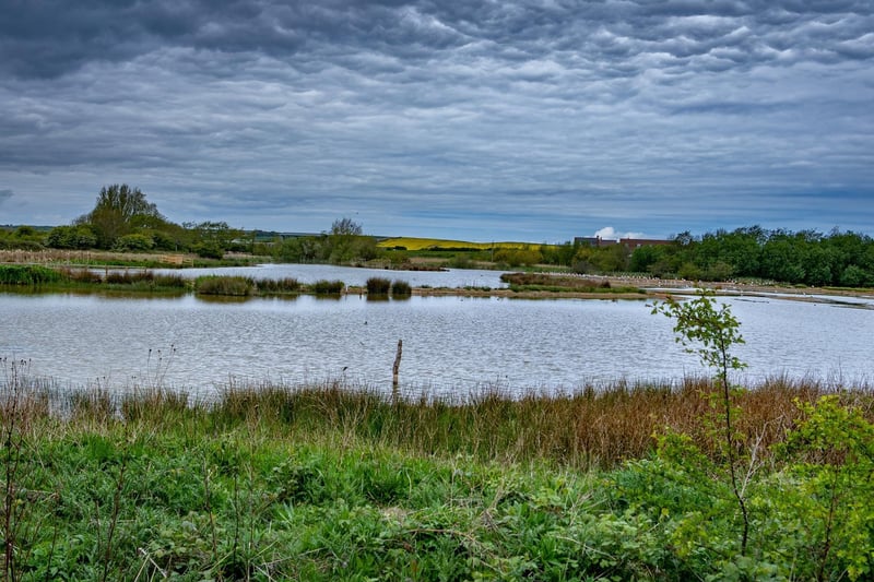 Filey Dams Nature Reserve offers stunning views and is the last remaining freshwater marsh of any size in the area. You will see migratory birds, small mammals and amphibians.