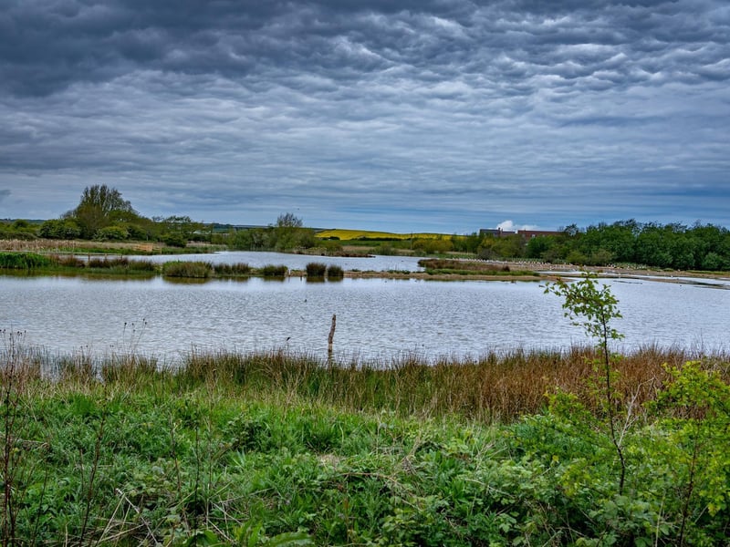 Filey Dams Nature Reserve offers stunning views and is the last remaining freshwater marsh of any size in the area. You will see migratory birds, small mammals and amphibians.
