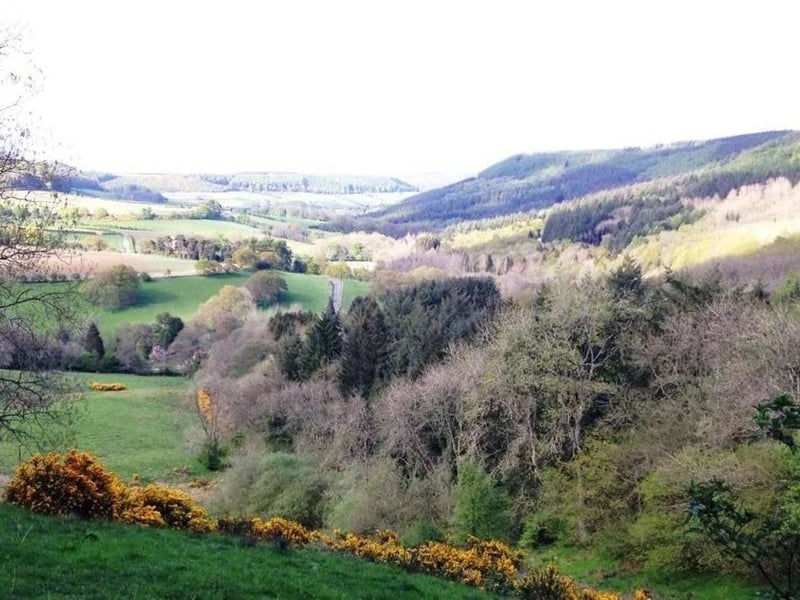 Looking out over the Yorkshire countryside
