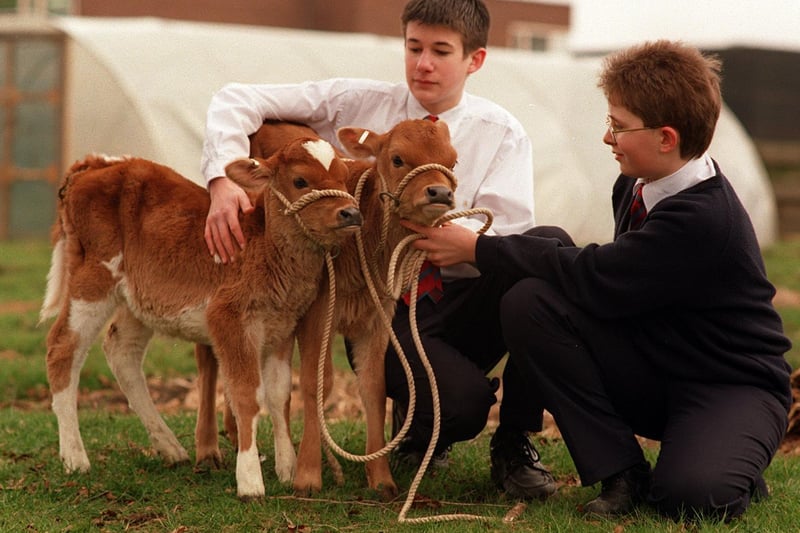Garforth Community College was rearing two Jersey calves at its farm unit before sending them to Uganda in March 1996. Pictured are pupils Chris Parker and Chris Barley
