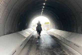 The first animal visitor trots through the new Darkinson Underpass in Lea