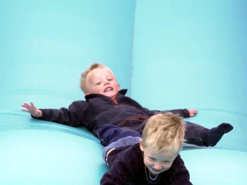 Sam Baxter (left) and brother Joe on the slide in June 2002.
