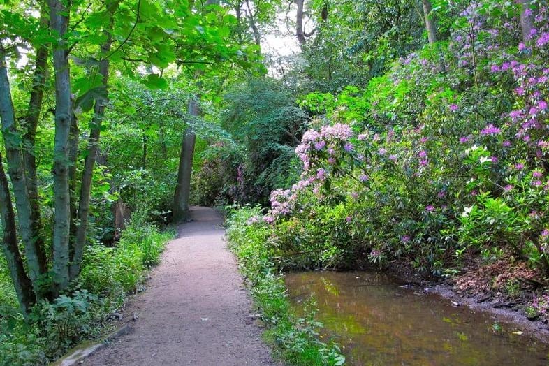 This seven mile linear walk runs from Meanwood Valley through to Breary Marsh, next to Golden Acre Park, meandering through pretty woodland along a relatively flat route - fit for all abilities.