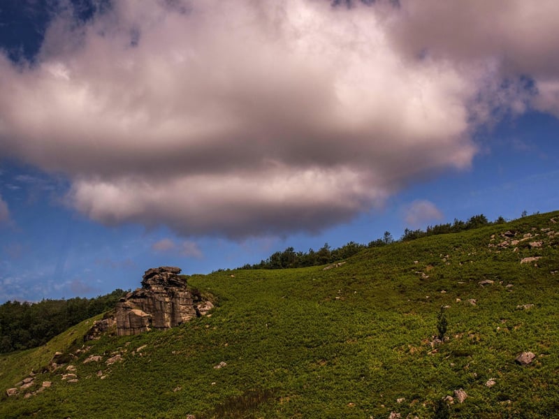 The view from the Dales bus, by Jeannette Wilson.
