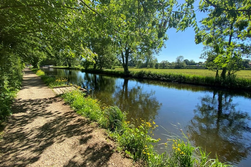 Ripon canal in the weekend sun, taken by Michelle Bray, from Bishop Monkton.