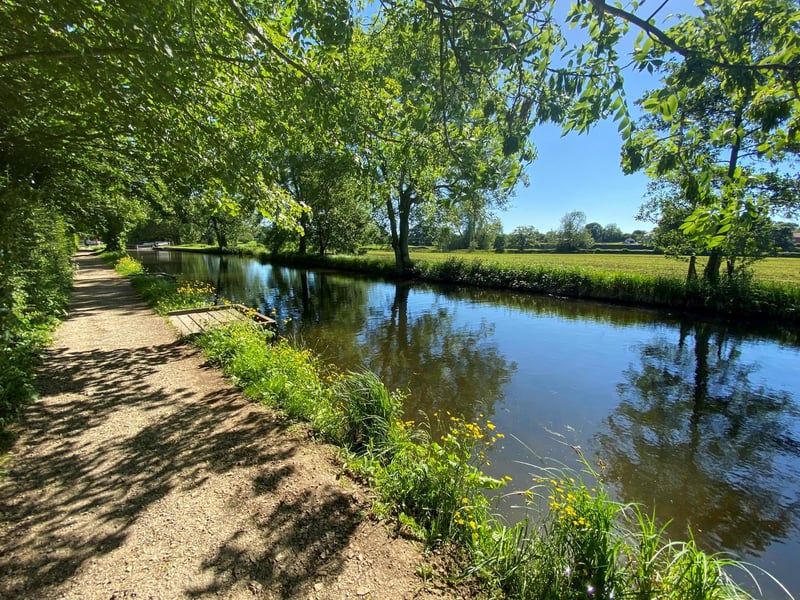 Ripon canal in the weekend sun, taken by Michelle Bray, from Bishop Monkton.