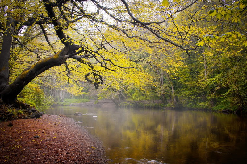 The River Nidd in the Nidd Gorge, taken by Mark Hunter.