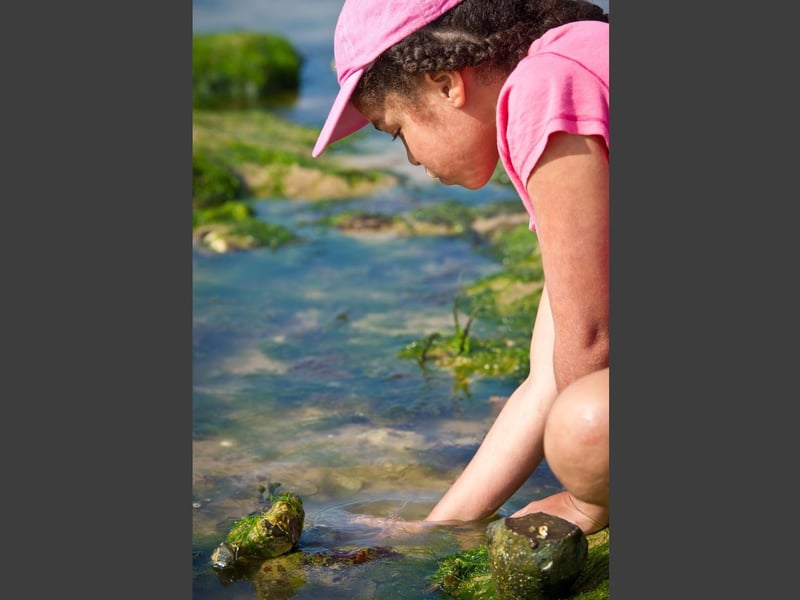 Spent a day at South Bay hunting for starfish and winkles.