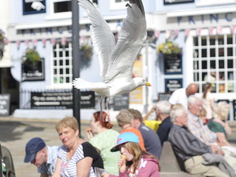 Watched a seagull make off with someone's fish and chips.