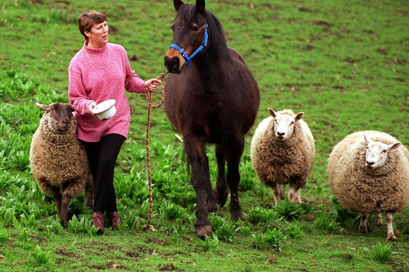 Menston was home to Otley show secretary Janet Raw with her 32-year-old horse Cloud and pet sheep.