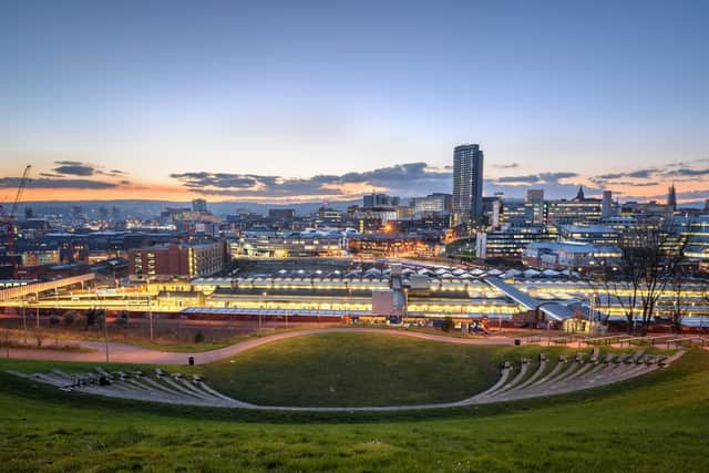 Pictured, at night from Sheaf Valley Park, in the Sheffield, City Centre. A new report from Sheffield Hallam University has revealed the need for more parks, particularly in urban spaces, to help in the pandemic recvovery. Photo credit: Stock.adobe.com