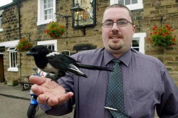 Remember Thatcher the magpie? It would appear at Alan Tate's pub/restuarant, The Kings Arms, in Wakefield where the wayward bird pinched keys, drinks, pecked customers and invaded the bar back in 2004.