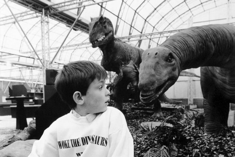 Gareth Kitchen from Gildersome won a YEP competition to open the Dinosaurs Alive! exhibition at Tropical World in October 1992.