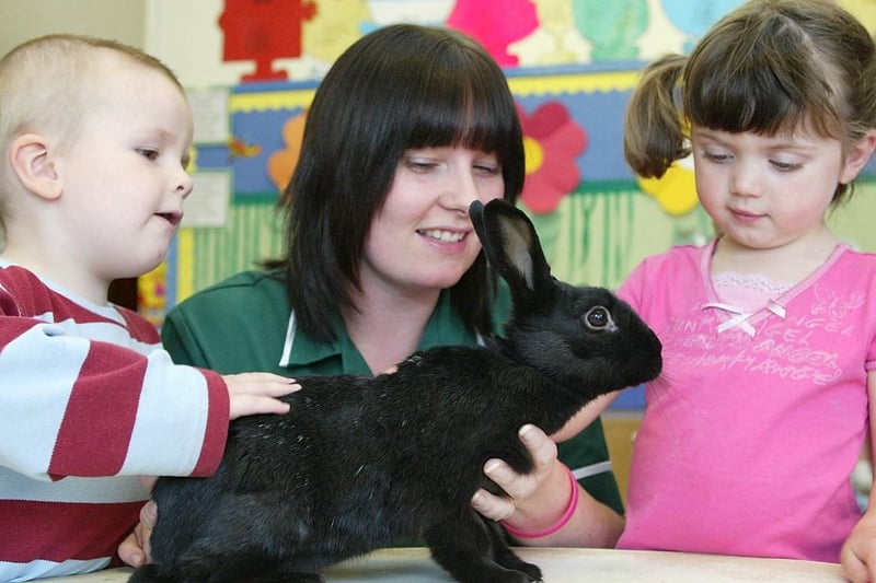 Michelle Northrop-Walker with Jake and Ellie - and Bovril the rabbit.