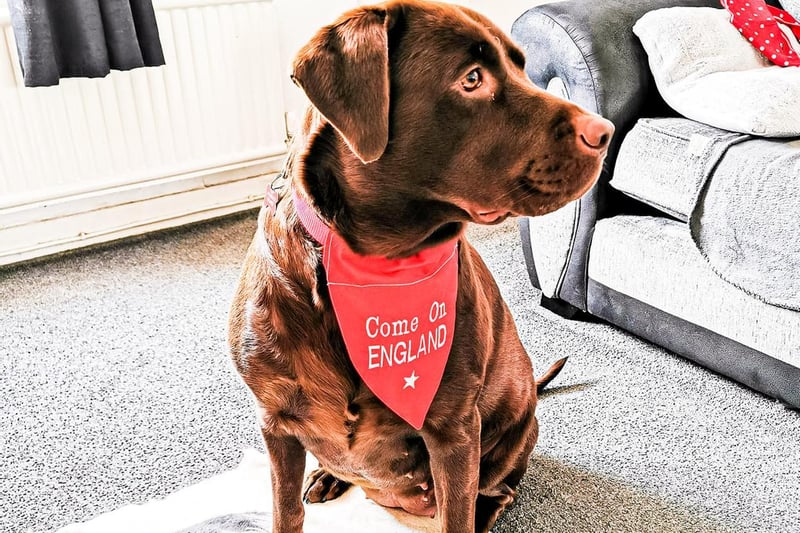 "This is bella yesterday with her lucky bandana on. It worked last night and it will work on Sunday. Come on boys x" Picture from Tracy Lafferty.