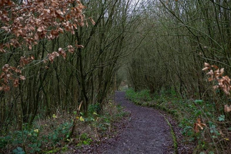 Take in the wonderful surroundings and beautiful wildlife at Cromwell Bottom. The area is mainly woodland with a really good network of paths. There is also a wheelchair and pushchair accessible route.