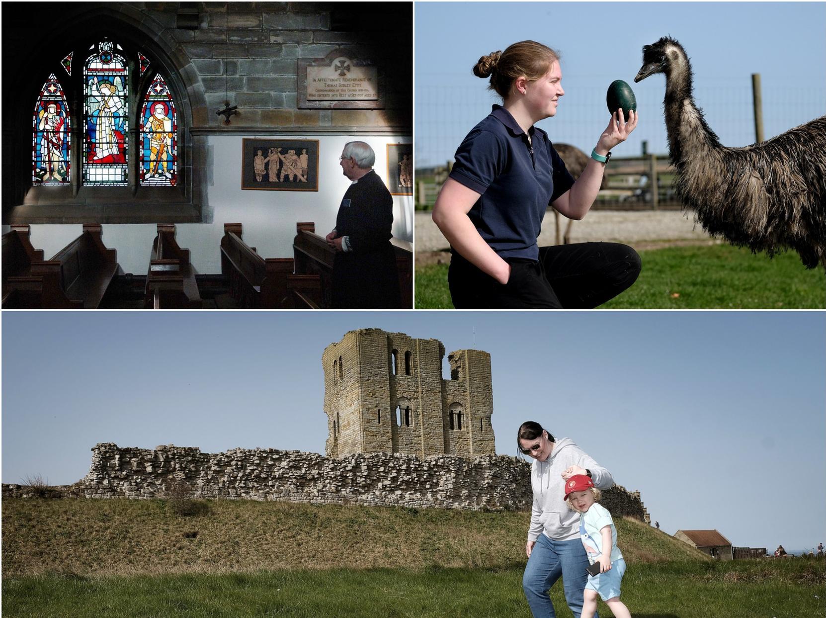 From top left: St Martin's-on-the-Hill, Playdale Farm Park and Scarborough Castle. Pictures: JPI Media