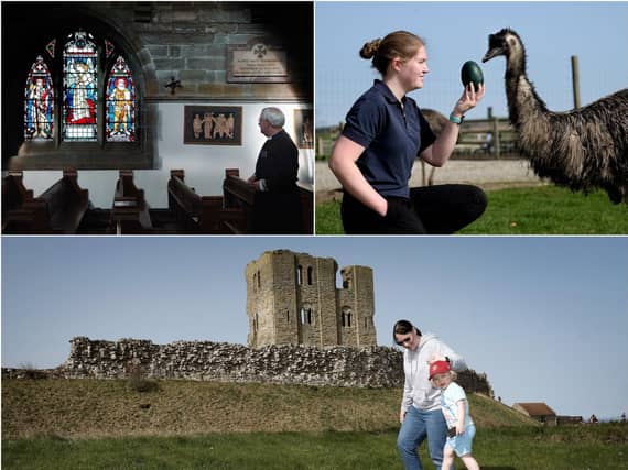 From top left: St Martin's-on-the-Hill, Playdale Farm Park and Scarborough Castle. Pictures: JPI Media