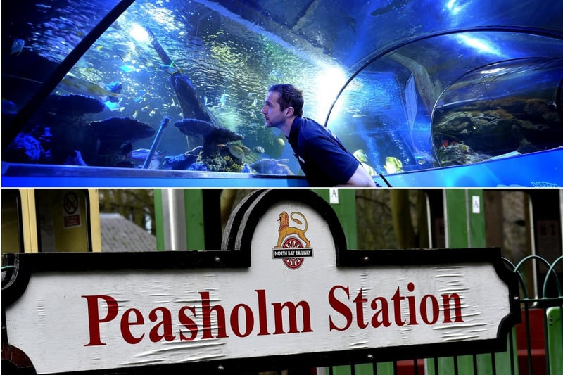 Sealife has hundreds of creatures to learn about as well as Yorkshire’s only Seal Hospital. For a full day out you can travel there on the North Bay Railway, one of the oldest seaside miniature railways in the country.