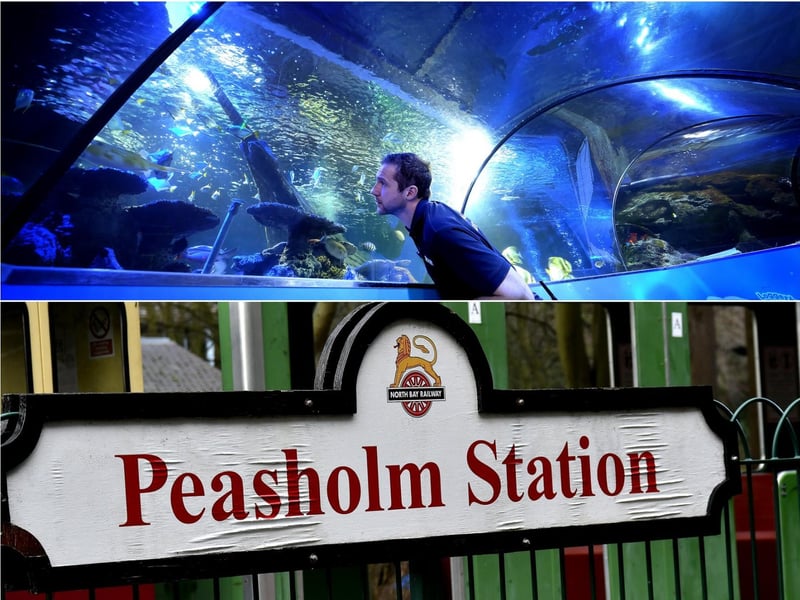 Sealife has hundreds of creatures to learn about as well as Yorkshire’s only Seal Hospital. For a full day out you can travel there on the North Bay Railway, one of the oldest seaside miniature railways in the country.