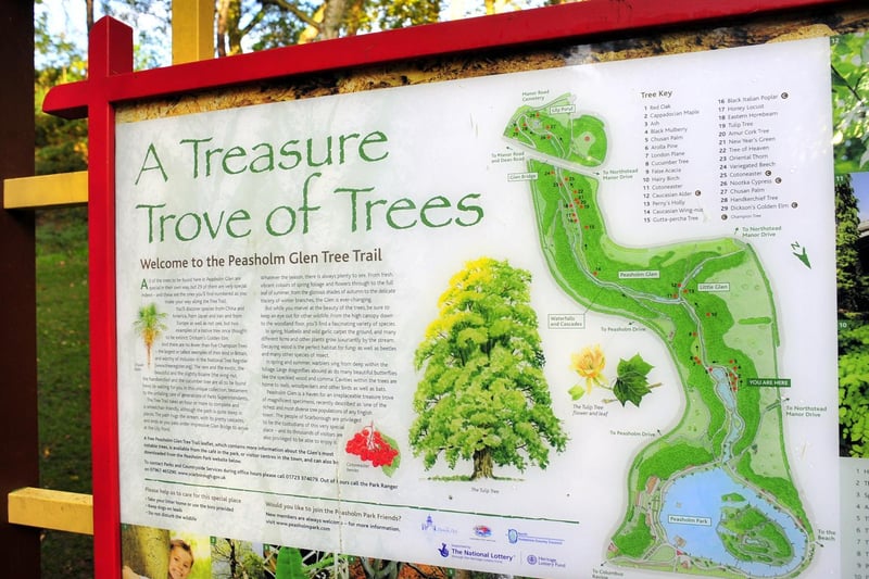 Whilst most people have toured Peasholm, there is a tree trail to explore including a Dickson’s Golden Elm, once thought to be extinct. For a 21st century trail you can also download the virtual dinosaur safari.