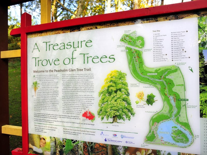 Whilst most people have toured Peasholm, there is a tree trail to explore including a Dickson’s Golden Elm, once thought to be extinct. For a 21st century trail you can also download the virtual dinosaur safari.