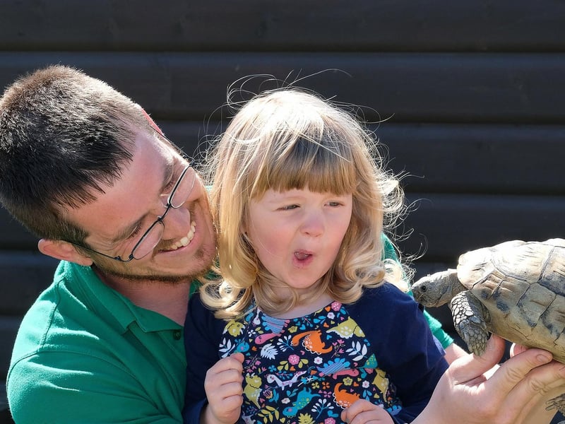 You might not expect to see a wallaby on the Yorkshire Coast but its is just one of over 20 animals to discover at this attraction near Scarborough. For children there is also a sensory garden and a play park.